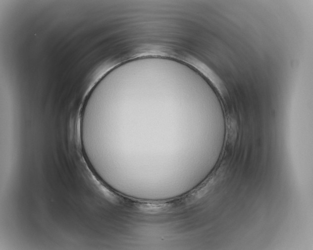 X0000112211290200908281452