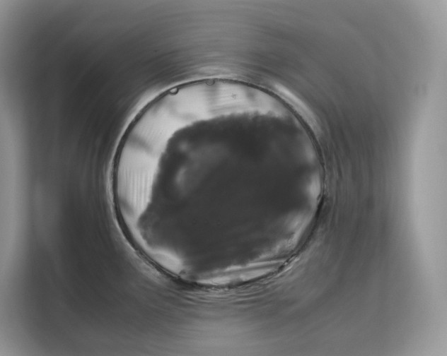 X0000112211291200908281452