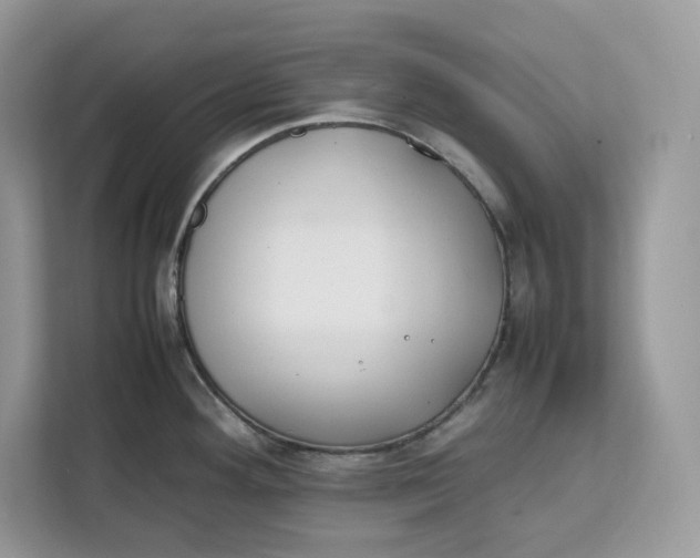 X0000112211292200908281452