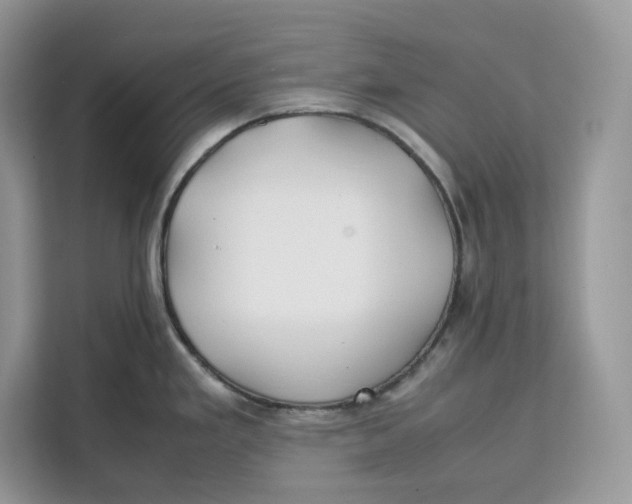 X0000112211293200908281452