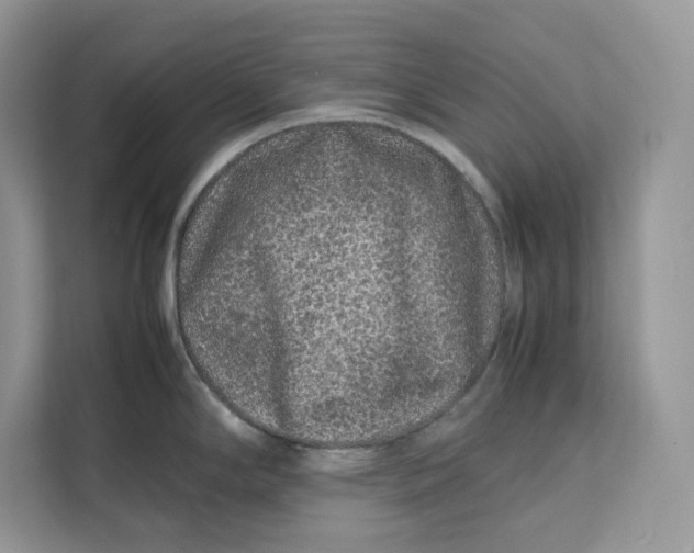 X0000112211294200908281452