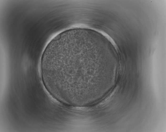 X0000112211295200908281452