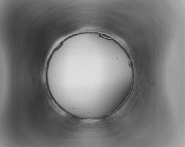 X0000112211296200908281452