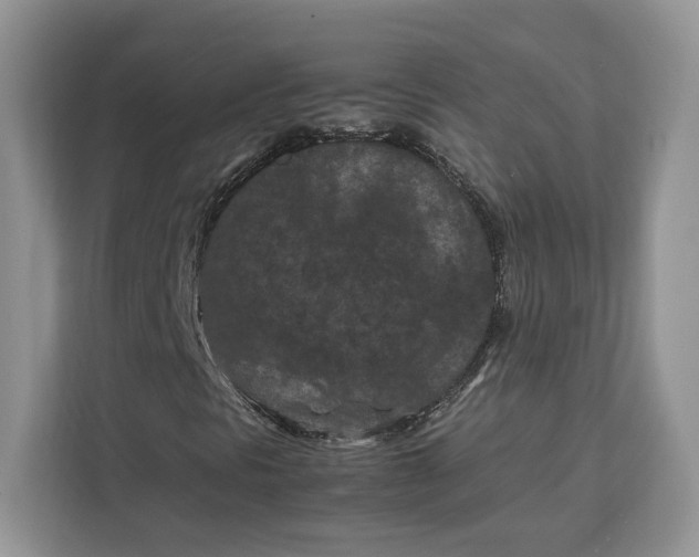 X0000112211297200908281451