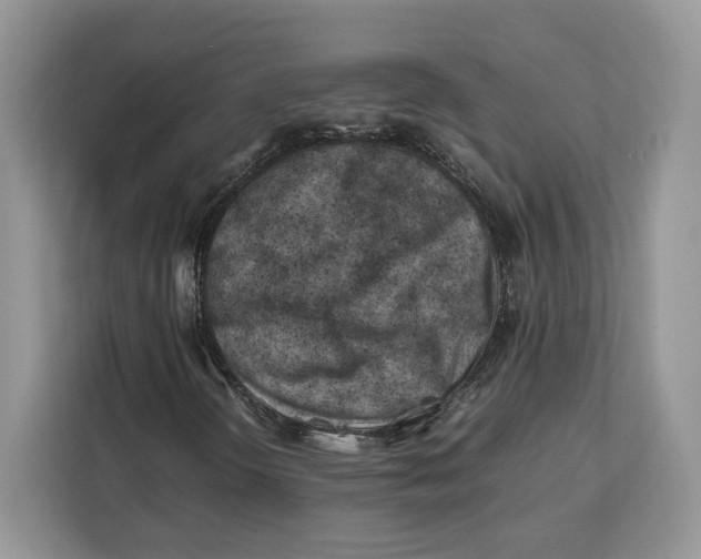 X0000112211298200908281451