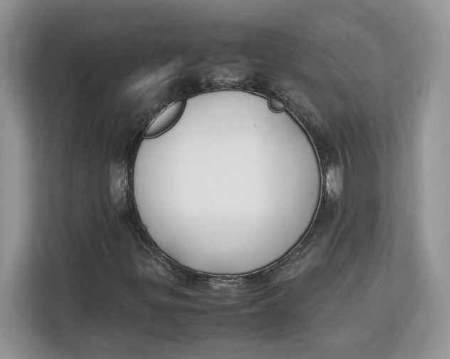 X0000112211299200908281451