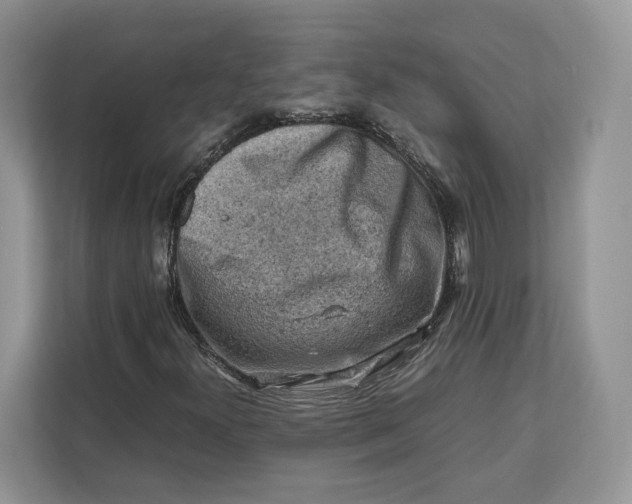 X0000112211300200908281451