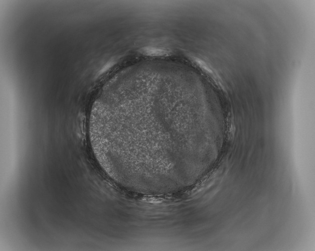 X0000112211301200908281451