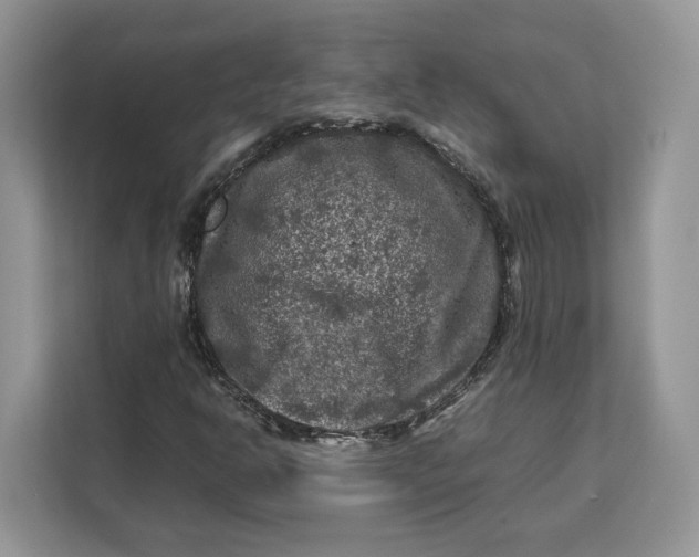 X0000112211302200908281451