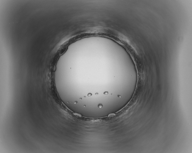 X0000112211304200908281451