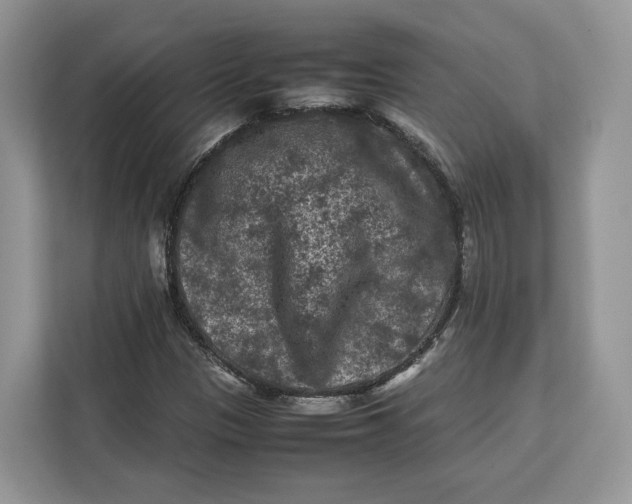 X0000112211305200908281451