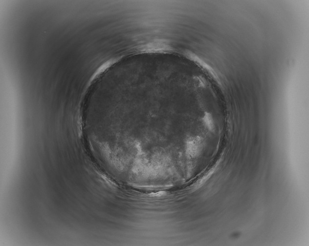 X0000112211306200908281451