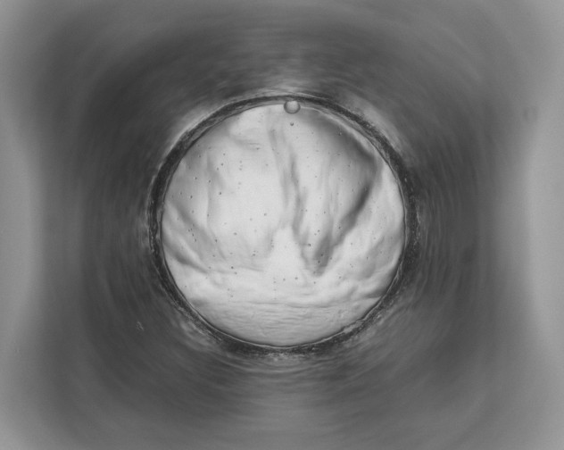 X0000112211308200908281451