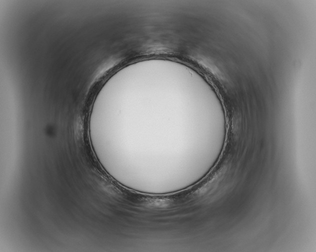 X0000112211309200908281451