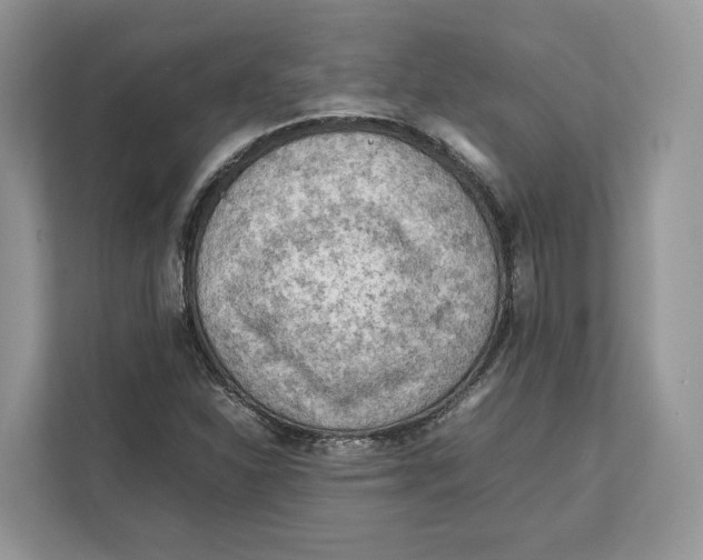 X0000112211310200908281451