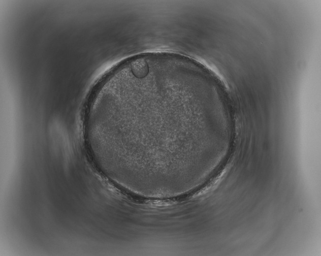 X0000112211311200908281451