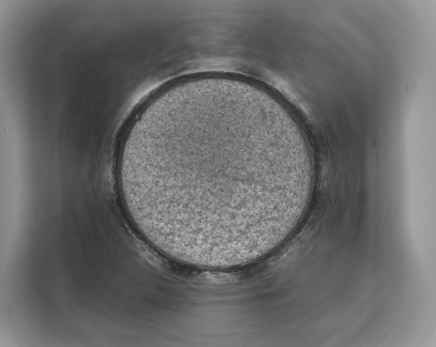 X0000112211312200908281451