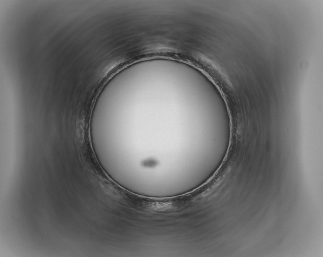 X0000112211313200908281451