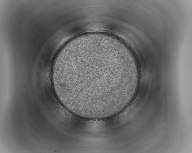 X0000112211314200908281452