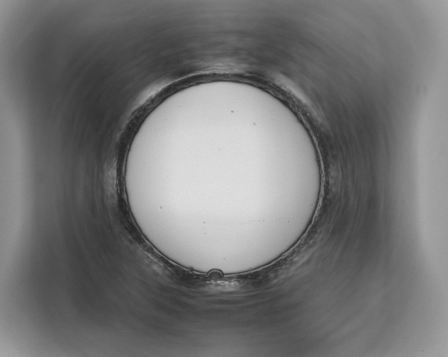 X0000112211315200908281452