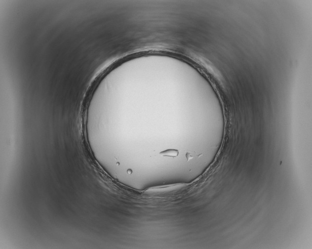 X0000112211316200908281452