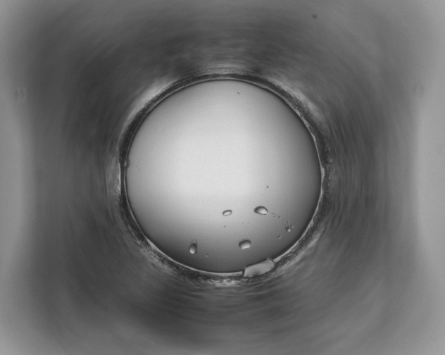 X0000112211317200908281452