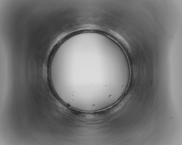 X0000112211318200908281452