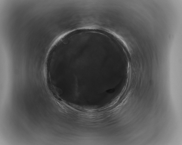 X0000112211319200908281452