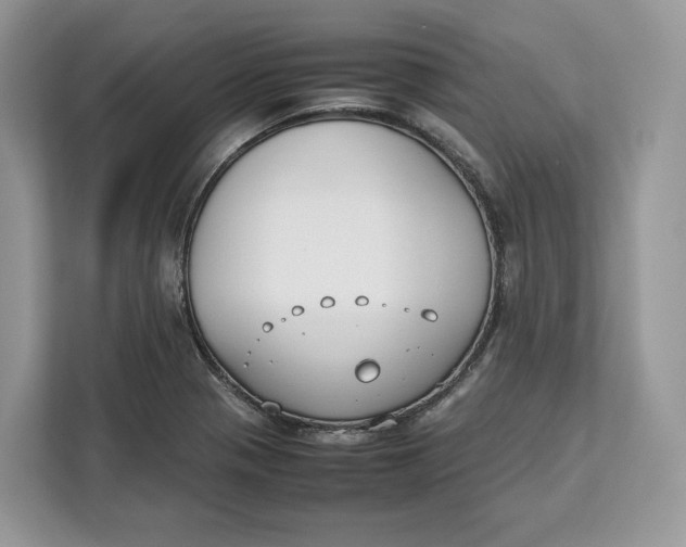 X0000112211321200908281452