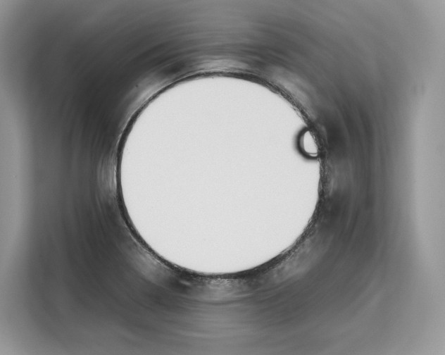 X0000112211322200908281452