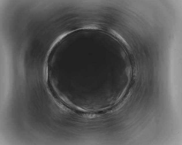 X0000112211323200908281452