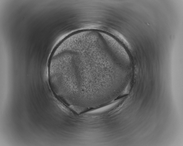 X0000112211324200908281452