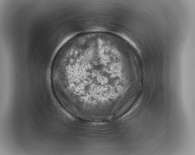 X0000112211325200908281452