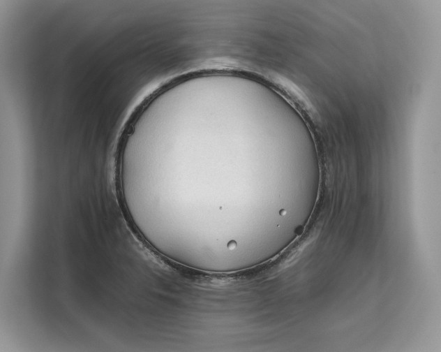 X0000112211326200908281452