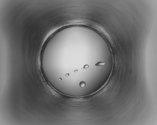 X0000112211328200908281452