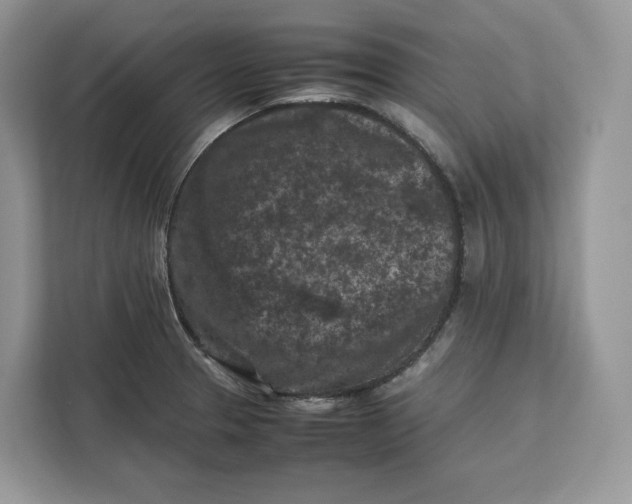 X0000112211329200908281452