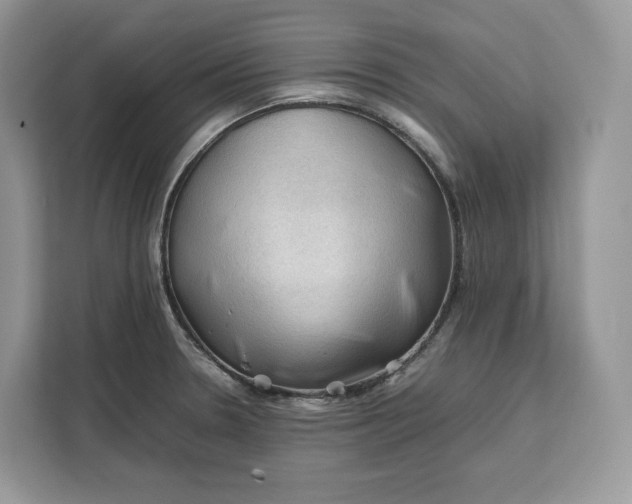 X0000112211330200908281452