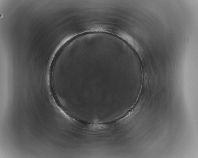 X0000112211331200908281452