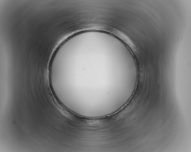 X0000112211332200908281452