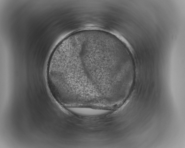 X0000112211333200908281452