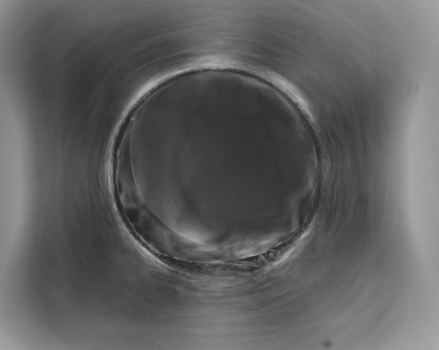 X0000112211334200908281452