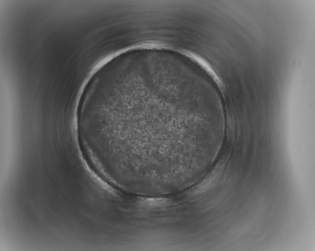 X0000112211335200908281452