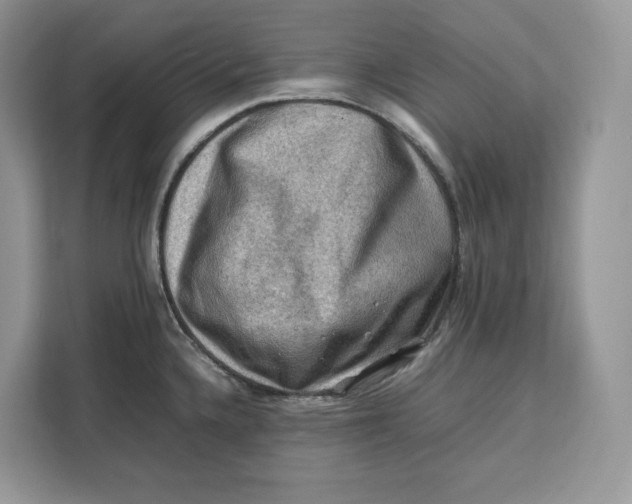 X0000112211336200908281452