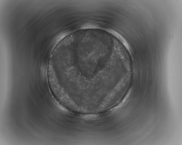 X0000112211337200908281452