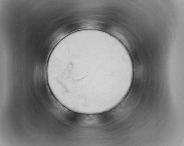 X0000112211338200908281452