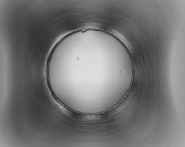 X0000112211339200908281452