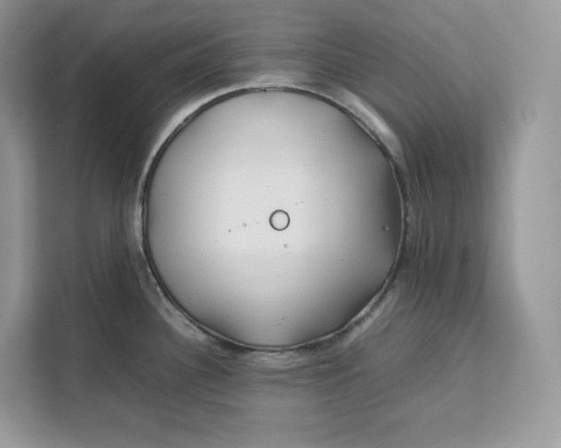 X0000112211340200908281452