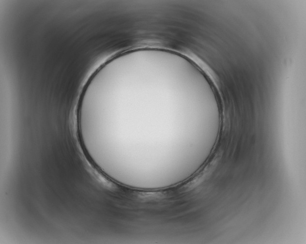 X0000112211341200908281452