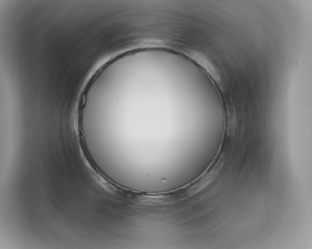 X0000112211342200908281452