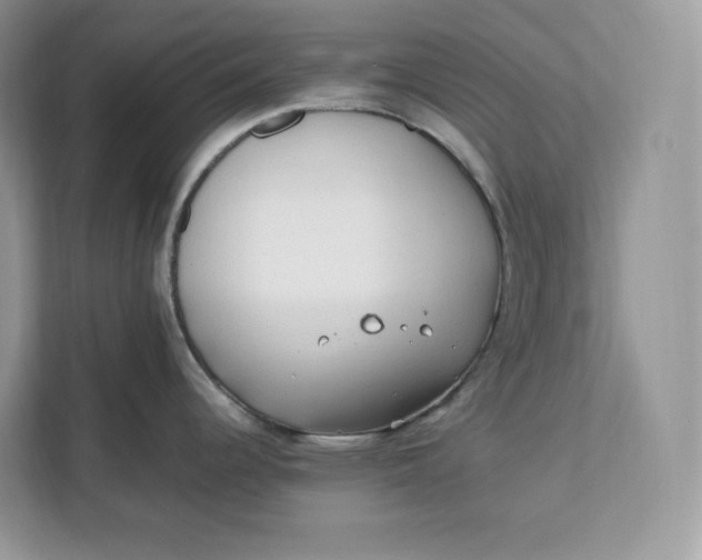 X0000112211344200908281452